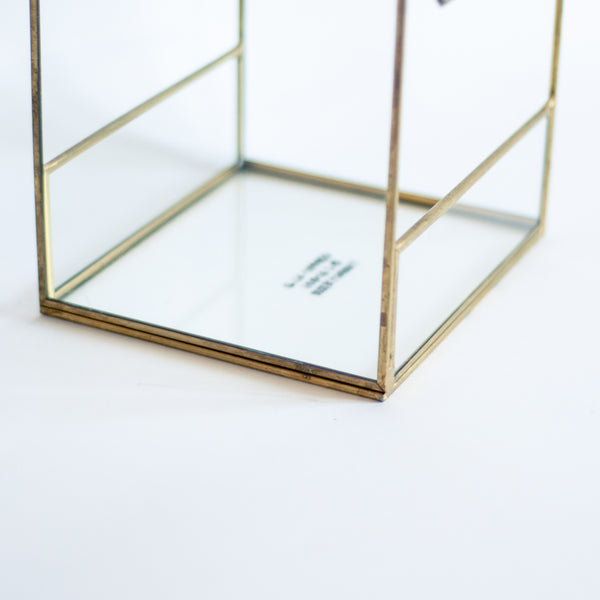 § Glass House Terrarium / Display Case